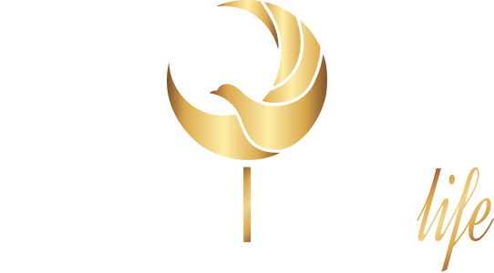 Tamira Parent Company